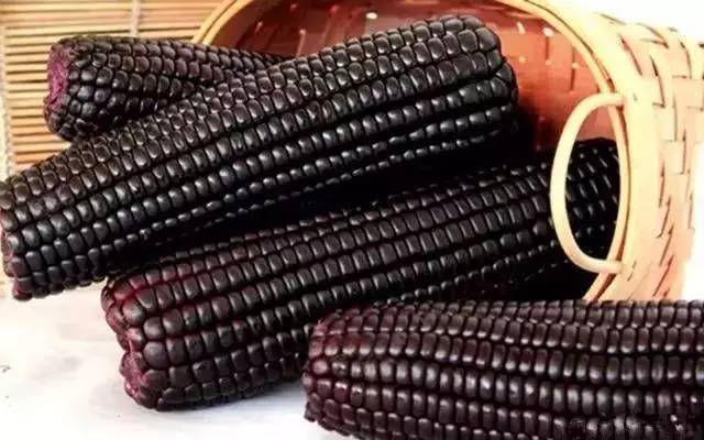 黑玉米图片 第9张