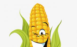 玉米动漫图片