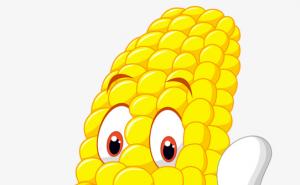 玉米动漫图片 第3张