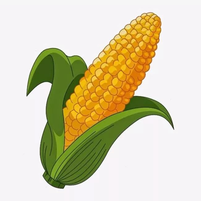 玉米动漫图片 第4张