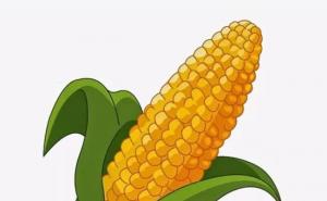 玉米动漫图片 第4张