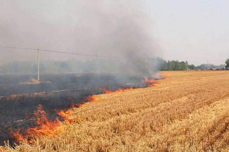 玉米秸秆焚烧图片 第1张