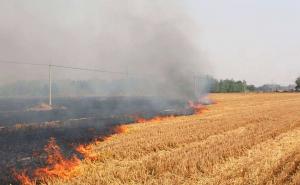 玉米秸秆焚烧图片