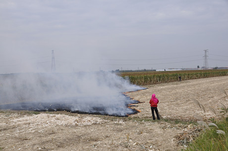 玉米秸秆焚烧图片 第2张