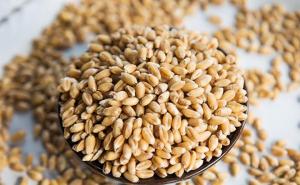 小麦去壳图片 第2张
