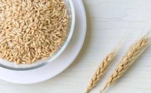 小麦粒图片 第3张