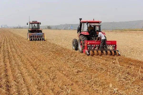 小麦播种图片 第4张