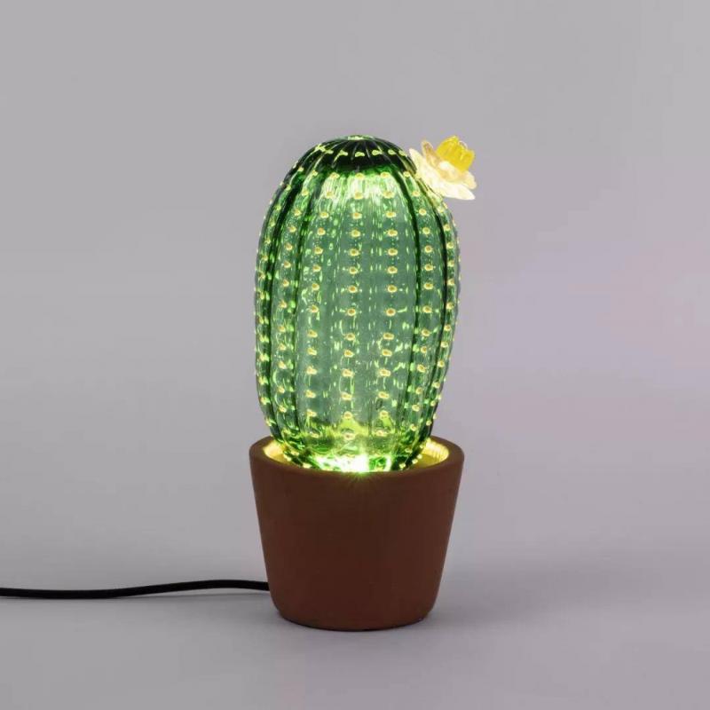 仙人掌造型图片 第3张