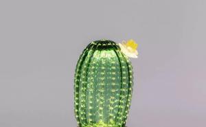 仙人掌造型图片 第3张