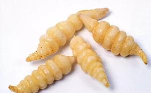 地牯牛草图片 第2张