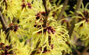 木里香图片 第3张