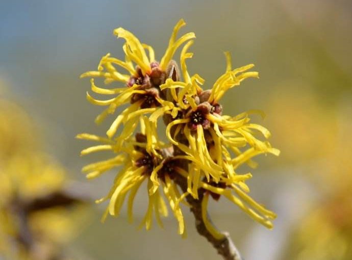 木里香图片 第2张