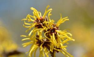 木里香图片 第2张