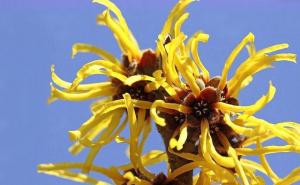 木里香图片 第4张