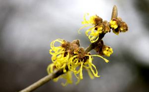 木里香图片 第5张