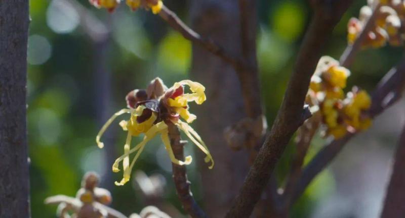 木里香图片 第6张