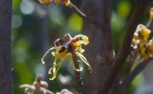 木里香图片 第6张