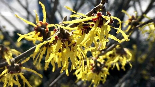 木里香图片 第7张