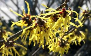 木里香图片 第7张