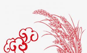 稻谷简笔画图片 第3张