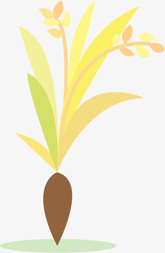 稻谷卡通图片 第3张