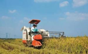 收割机收割稻谷图片 第2张