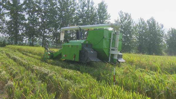 收割机收稻谷图片 第2张