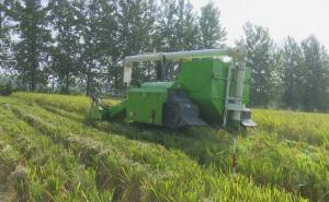收割机收稻谷图片 第2张