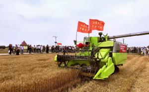 收割机收稻谷图片 第4张