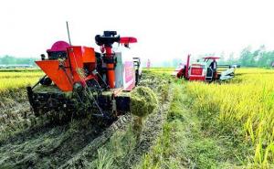 收割机收稻谷图片 第9张