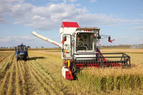 收割机收稻谷图片 第7张