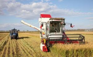 收割机收稻谷图片 第7张