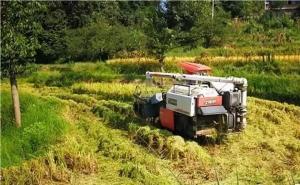 收割机收稻谷图片 第8张