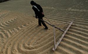 晒稻子图片 第2张