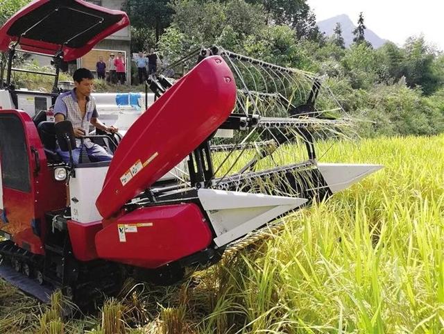 割稻谷机图片 第1张