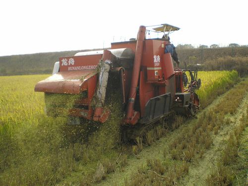 割稻谷机图片 第3张