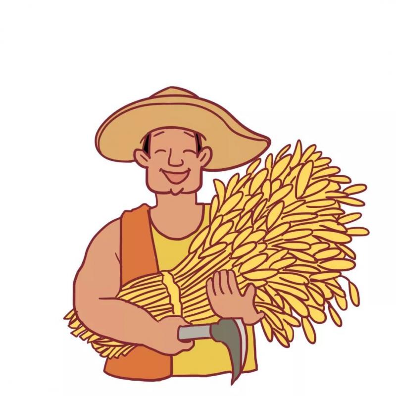 稻谷丰收卡通图片 第2张