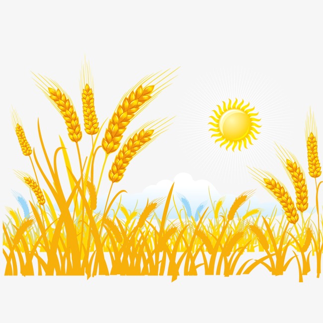 稻谷丰收卡通图片 第1张