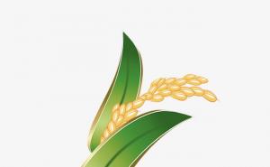 稻谷穗子卡通图片 第2张