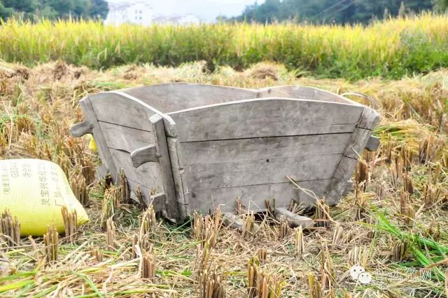 农村打稻谷工具图片 第3张