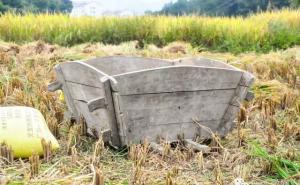 农村打稻谷工具图片 第3张