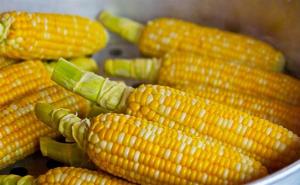玉蜀黍图片 第6张