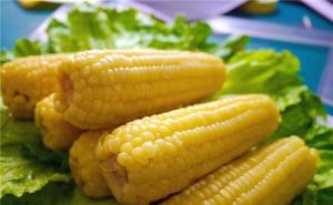 玉蜀黍图片 第7张