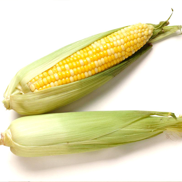 包芦图片 第3张