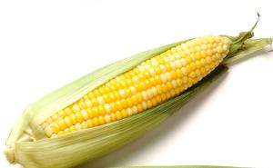 包芦图片 第3张