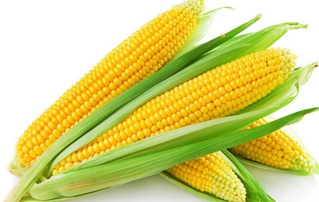 玉茭图片 第3张