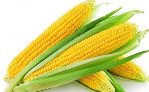 玉茭图片 第3张