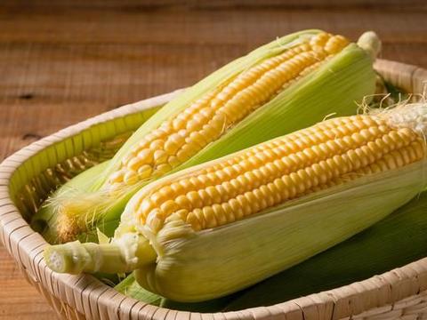 苞米图片 第1张