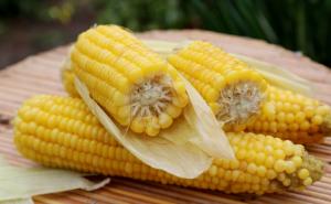 苞米图片 第5张
