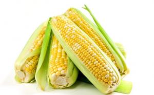 苞米图片 第7张